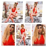 8 Kitty Kats photo