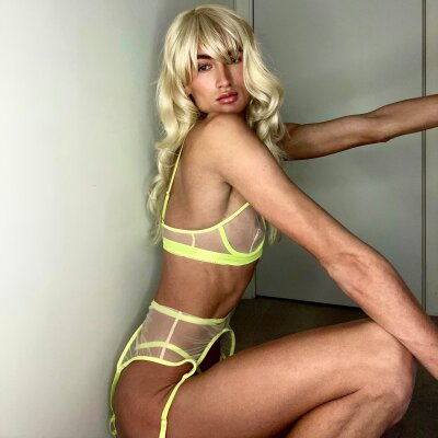 Angel Fox