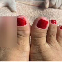 1 Rose Brazilian photo