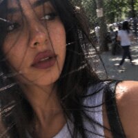 6 Persian Princess photo