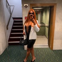 6 Vic Ginger photo