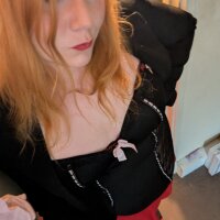 1 Red Lilly photo