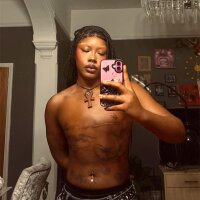 5 Bratzboy photo