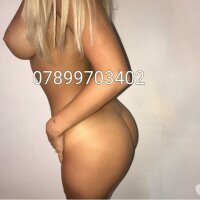 3 Female Escort photo