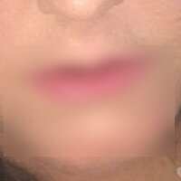 3 Female Escort photo